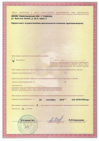 Лицензия (лист2)