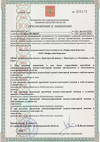 Лицензия ООО Нефролайн-Карелия (лист 5)