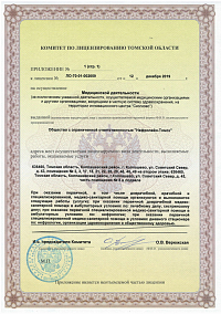 Лицензия (лист3)