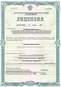 Лицензия (лист1)