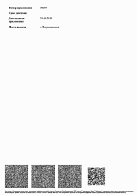 Лицензия (лист7)