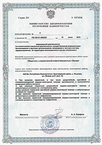 Лицензия (лист10)