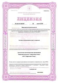 Лицензия (лист1)