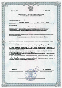 Лицензия (лист6)