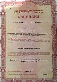 Лицензия (лист1)