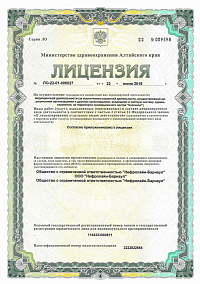 Лицензия (лист1)