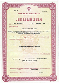 Лицензия (лист1)