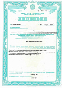 Лицензия (лист1)