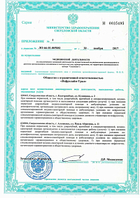 Лицензия (лист3)