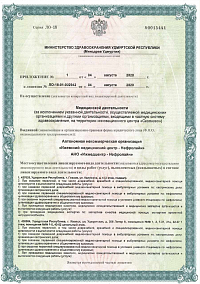 Лицензия (лист3)