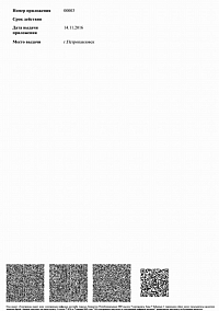 Лицензия (лист5)